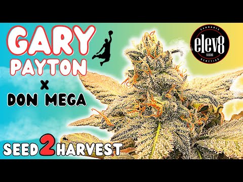 GARY PAYTON x DON MEGA 🔥 Seed to Harvest Documentary in 4K
