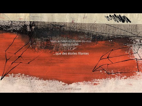 LES COWBOYS FRINGANTS - Les étoiles filantes (vidéo avec paroles)