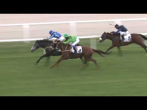 2022.09.18. Napi összefoglaló