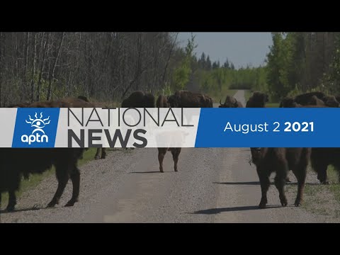 APTN National News August 2, 2021 – Residential school awareness walk, Displacement apology
