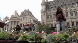 Telihana and Elementz (Promo Video)