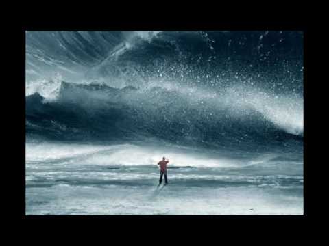 EL PROPOSITO DE LAS PRUEBAS Parte 1