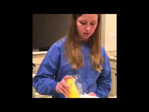 Pastel de Tres Leches- Taylor Reusche