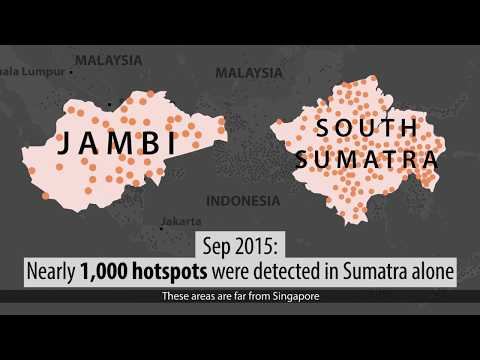 How bad will haze be in Singapore this year?