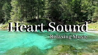 The most Beautiful sounds in the forest.