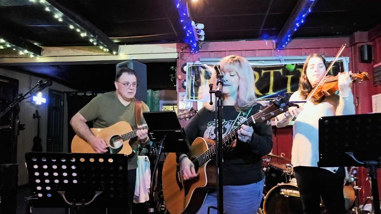 Promotional video thumbnail 3 for Stardust Acoustic