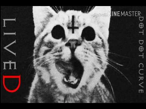 Video thumbnail for Freak Or Nah