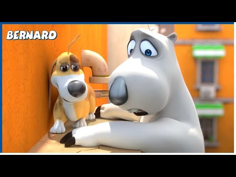 Bernard and his dog | Bernard | 130' Compilation