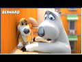 Bernard And His Dog Bernard 130 Compilation