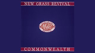 Steam Powered Aereo Plane