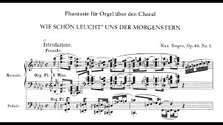 Download lagu Reger: Choralphantasie 'Wie schön leucht uns der Morgenstern' op. 40 Nr. 1 mp3