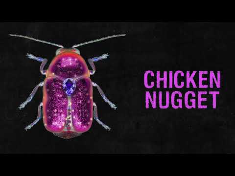 Video thumbnail for Chicken Nugget