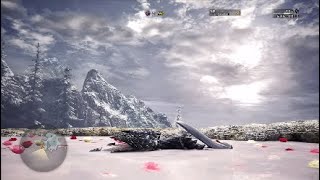 【MHW IB】今更アイスボーン実況～RIZE発売から１ヶ月、新大陸は今・・・～【part1】