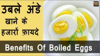 अंडे और इसके फायदे | Health Benefits Of Egg | Health Tips In Hindi | DOWNLOAD THIS VIDEO IN MP3, M4A, WEBM, MP4, 3GP ETC