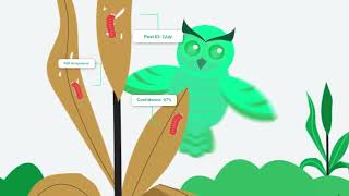 DeepLeaf API Platform