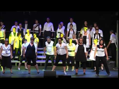 Star Académie Spectacle 2014