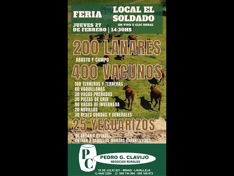 27/2/2025 Local el Soldado - Lavalleja - Pedro G. Clavijo