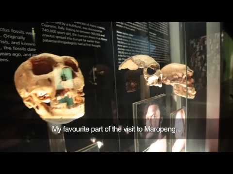 Südafrika: Maropeng - Die Wiege der Menschheit
