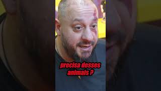 PORQUE RAÇAS DE CÃES SÃO TÃO IMPORTANTES #biologohenrique #cães #cachorro #belgamalinois