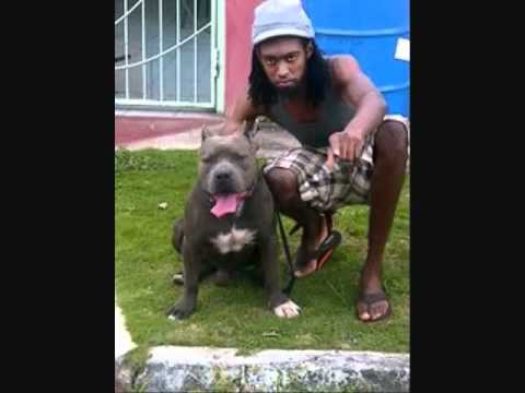 Star Khaliba - Abey ( UPCOMING DANCEHALL ARTIST RISING RAPIDLY)