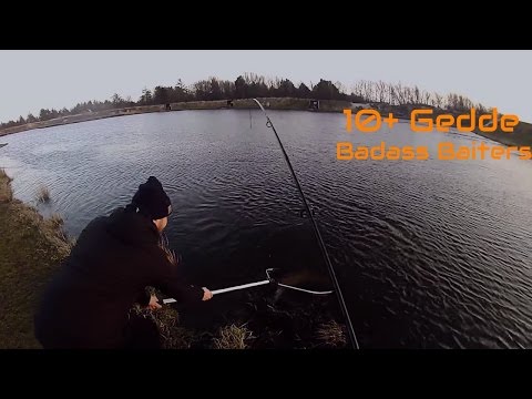 10+ Gedde taget under Størfiskeri i Loch Nees # 2X GoPro Full HD # Marts 2K17
