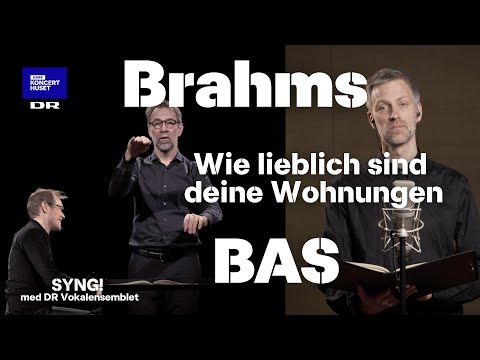 Brahms, Wie lieblich sind deine Wohnungen - basstemme // SYNG! med DR Vokalensemblet