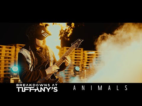 Breakdowns At Tiffany's - Animals (OFFICIAL MUSIC VIDEO)