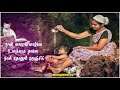 Poove Sempoove Un Vasam Varum Female WhatsApp Status Song