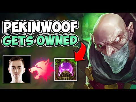 I SHOWED PEKINWOOF WHAT ROAMING SINGED MID CAN DO (HE GOT EMBARRASSED)