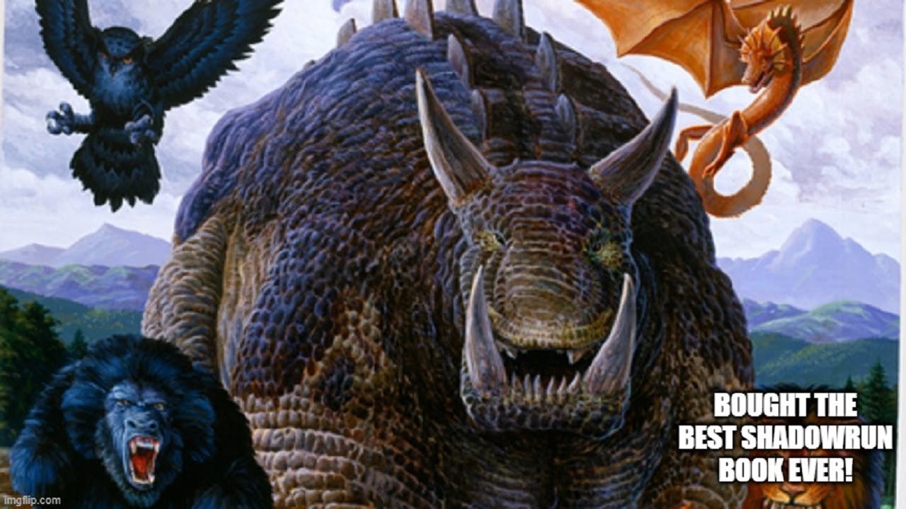 Bought The Best Shadowrun Book Ever!