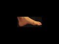 Miss India Shurti Sharma Feet Worship Scene