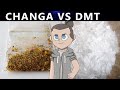 Changa vs DMT