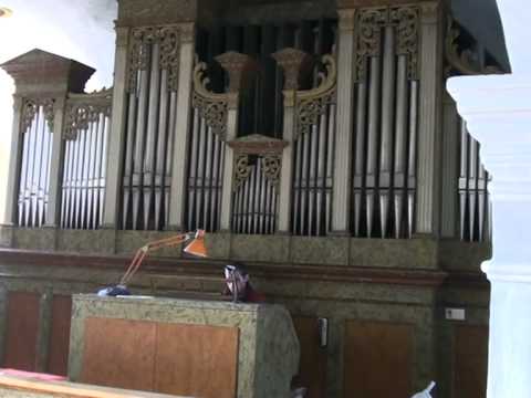 Organ v Beluši