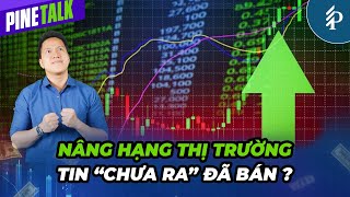 VN-Index xanh vỏ đỏ lòng trước thềm nâng hạng | Livestream Pinetalk