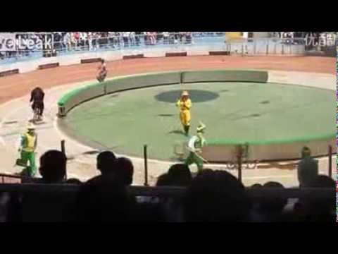 Bear Savages Monkey at Shanghai Wild Animal Park After Bicycle Race Crash