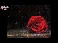 Crying In The Rain - Don Williams lyrics