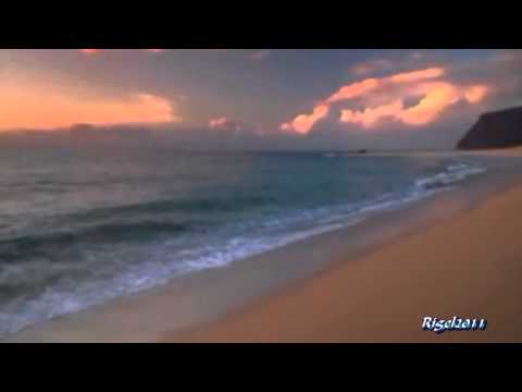 Nomadi - Gli Aironi Neri