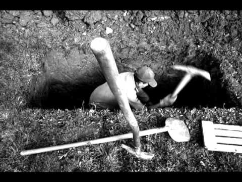 Nata e parë në Varr(Jeta e Varrit) - Dr. Shefqet Krasniqi