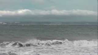 preview picture of video 'Southern Resident Orca, Point No Point, WA: Dec 2, 2012'