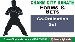preview picture of video 'Co-Ordination Set 1 - Kenpo Forms and Sets'