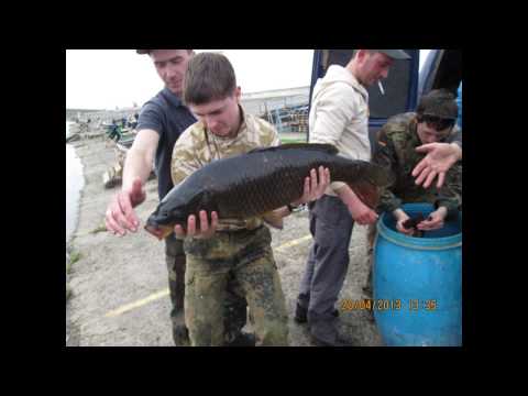Прилбичі 2013-Зариблення