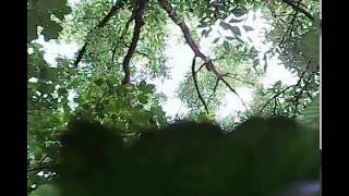 preview picture of video 'Hubsan x4 107c High Altitude Flight when Wind Crashes it into a Tree'
