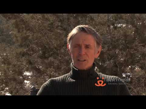 Best Friends Animal Society says opposition to TNR for homeless cats misguided