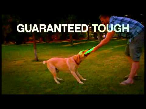 Игрушка для собак West Paw Zisc Glow Flying Disc фрисби светящийся 17 см Белый (ZG029GLO) - фото 2 - id-p1897448357