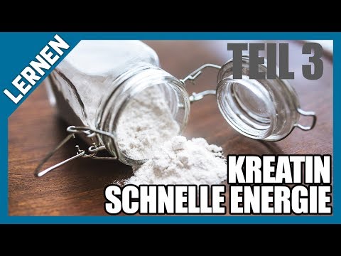 Pankreas-Insulin-Norm Zeigen Vorrichtungen zur Blutzuckermessung