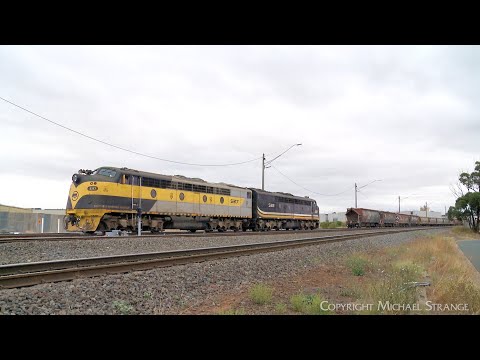 SSR S317 & S312 With Southern Shorthaul Railroad Broad Gauge Grain (28/2/2023) - PoathTV Trains