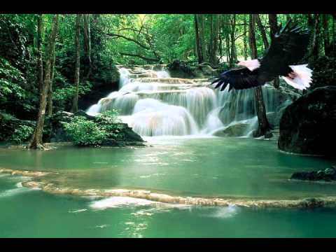 musica cristiana-Nena leal-el vuelo del aguila.WMV