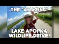 Exploring The AMAZING Lake Apopka Wildlife Drive Orange County Orlando Florida