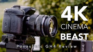 Video thumbnail for Panasonic GH4 in 2021 - Review for Video (vs GH5) with Ninja V by The Budget Filmmaker