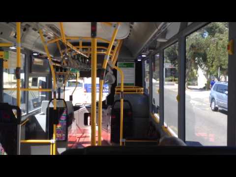 Transperth Red CAT - Volvo B5RLEH Hybrid Midi (I-Shift) Video 1